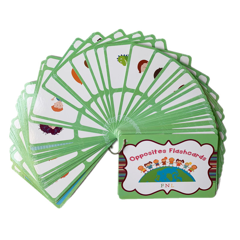 The 100 Groups Opposites Flash - đánh giá và giá Kids Toys Learning