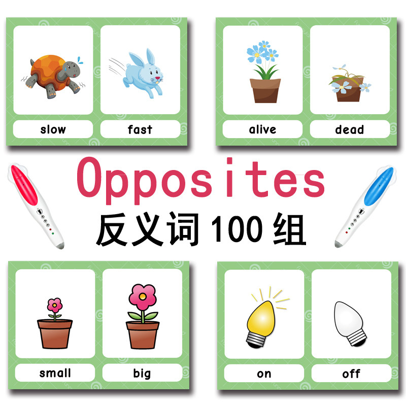 The 100 Groups Opposites Flash - đánh giá và giá Kids Toys Learning