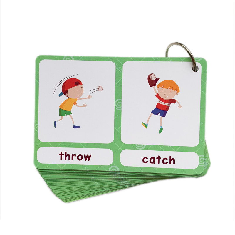 The 100 Groups Opposites Flash - đánh giá và giá Kids Toys Learning