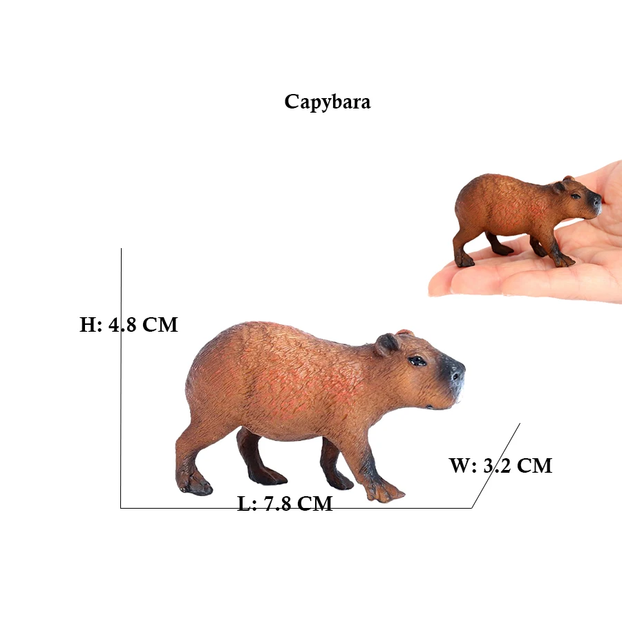 Capibara Capybaras Squirrel Ma - đánh giá và giá Kids Toys Review