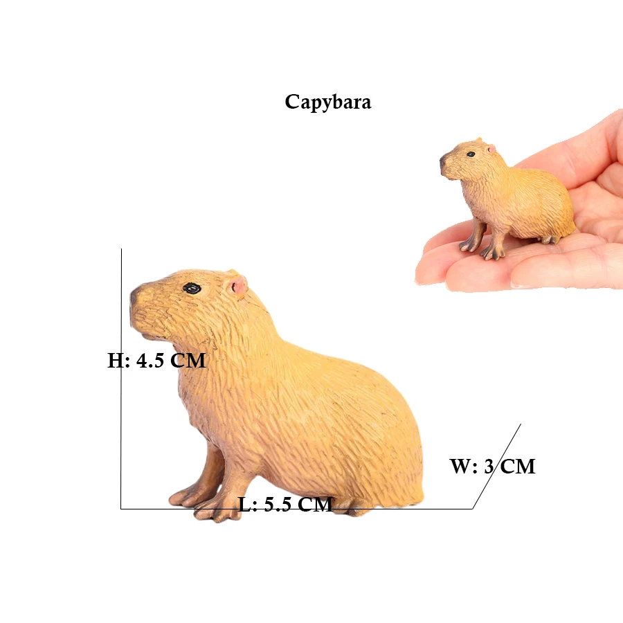 Capibara Capybaras Squirrel Ma - đánh giá và giá Kids Toys Review