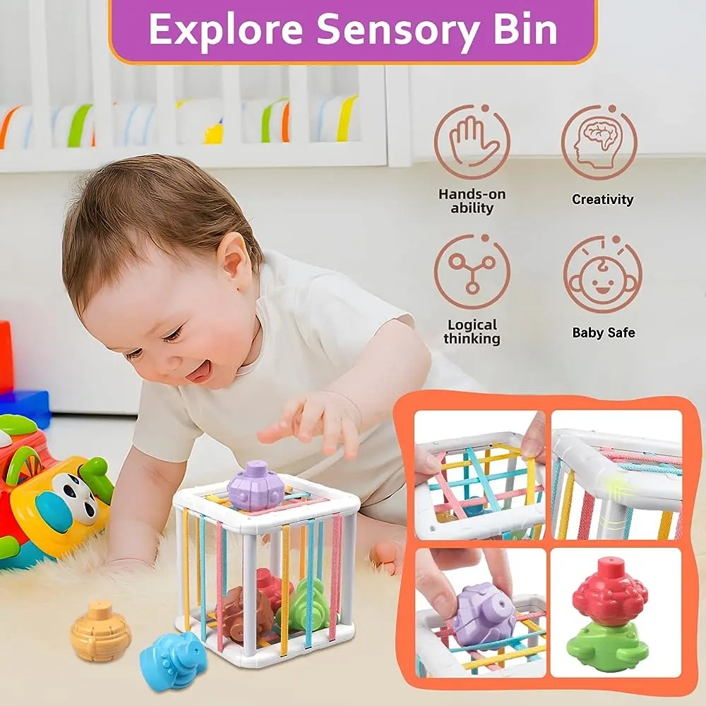 Rainbow Colorful Montessori Sh - đánh giá và giá Kids Toys Learning