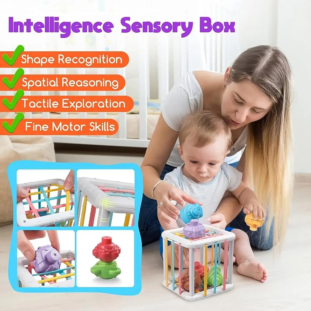 Rainbow Colorful Montessori Sh - đánh giá và giá Kids Toys Learning
