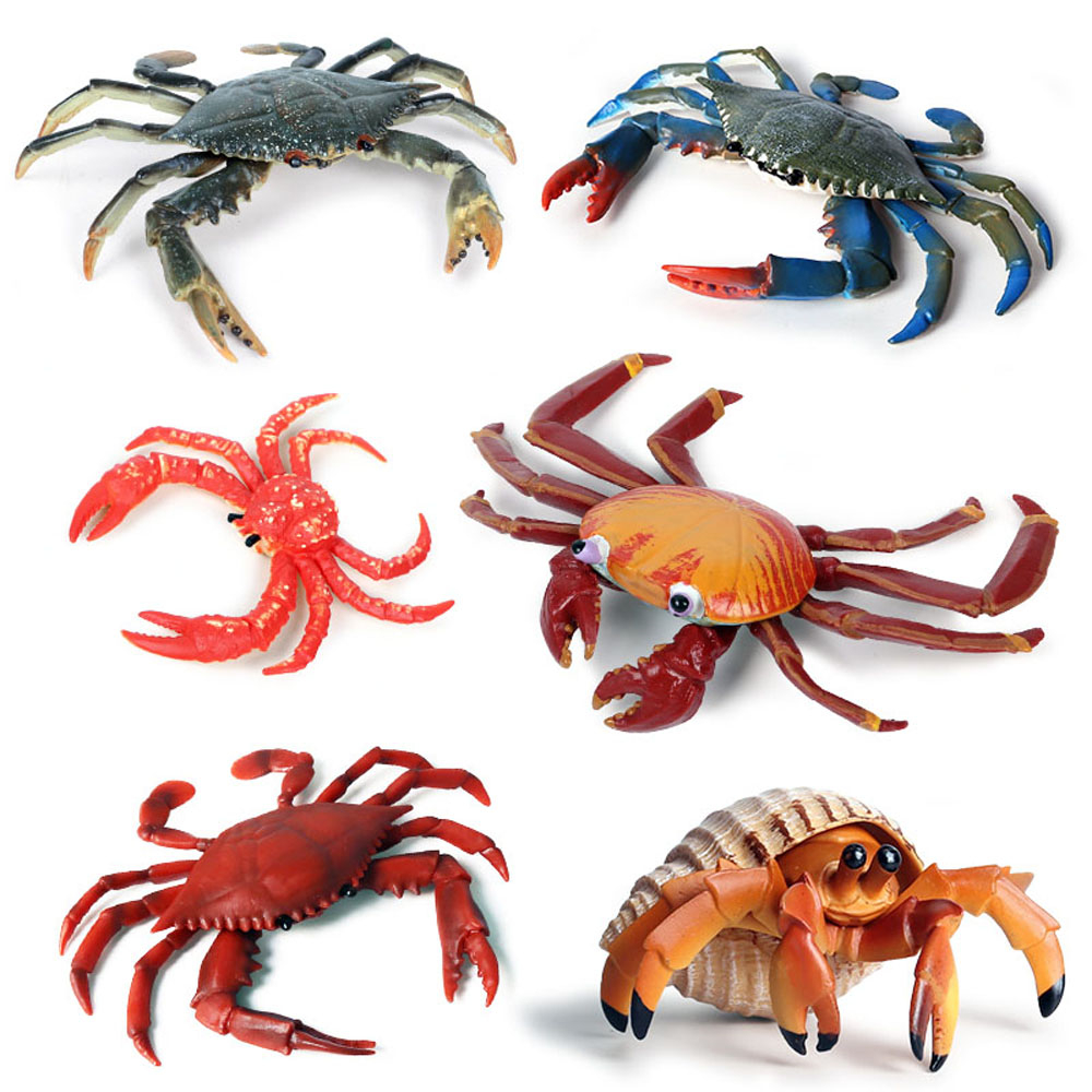 baby kids children toys sea an - đánh giá và giá Kids Toys Shop